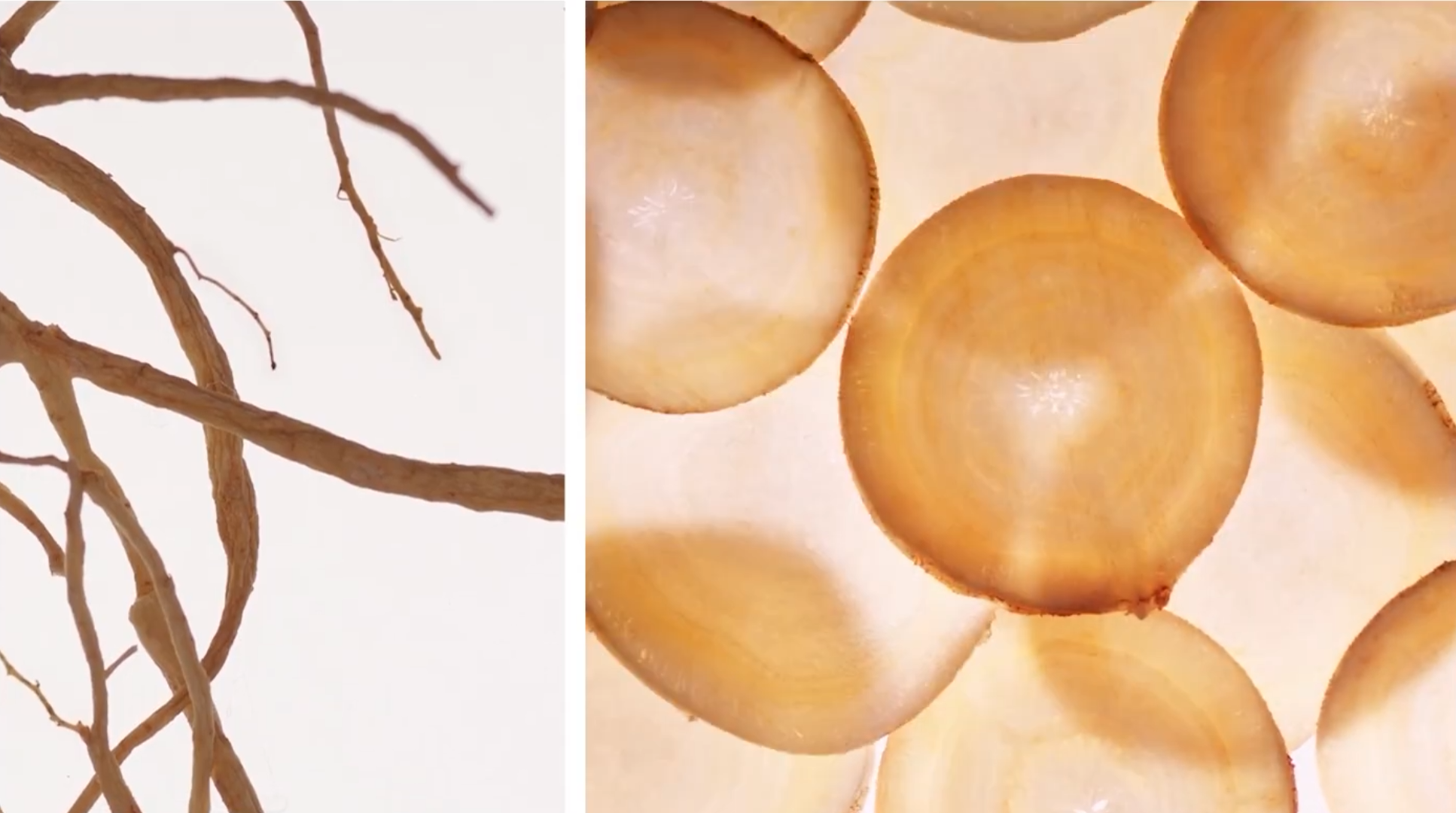 Macro shot of a golden serum droplet