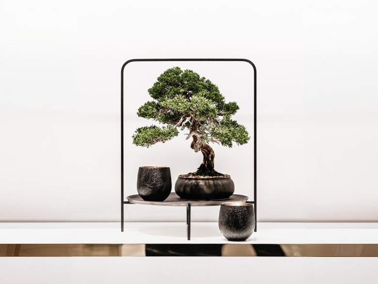 Reflections with Traditional Korean Tree Art